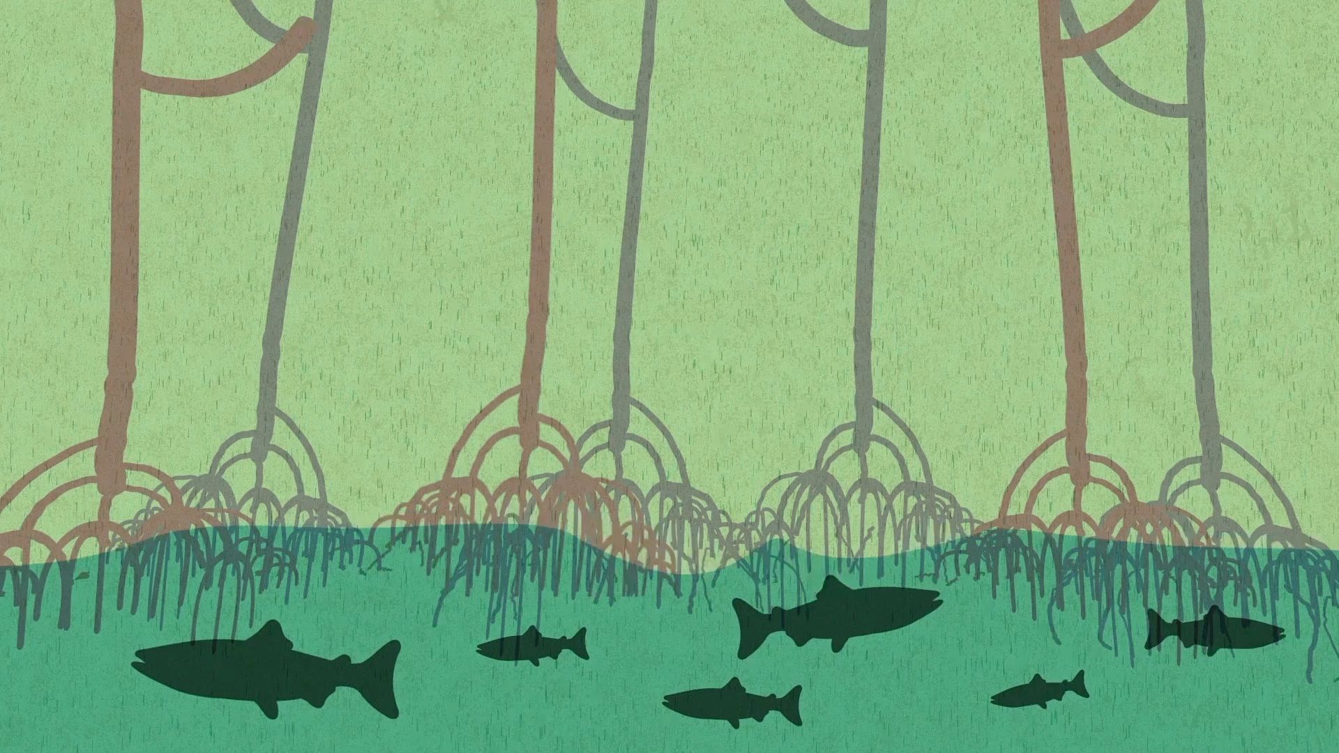 Illustrierte Unterwasserszene mit Mangrovenwurzeln und mehreren Fischen