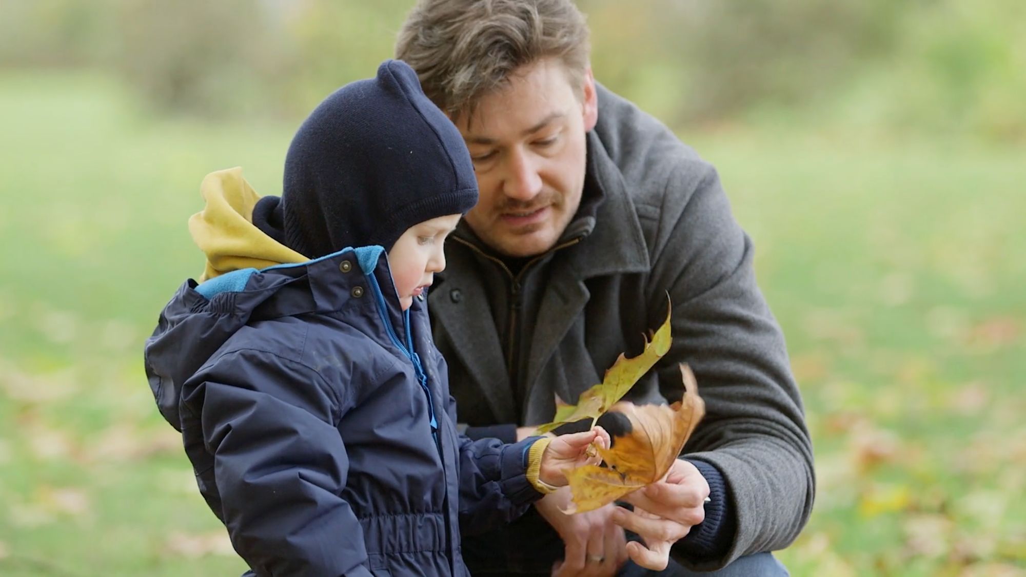 Vater zeigt einem kleinen Jungen im Park ein herbstlich gefärbtes Ahornblatt