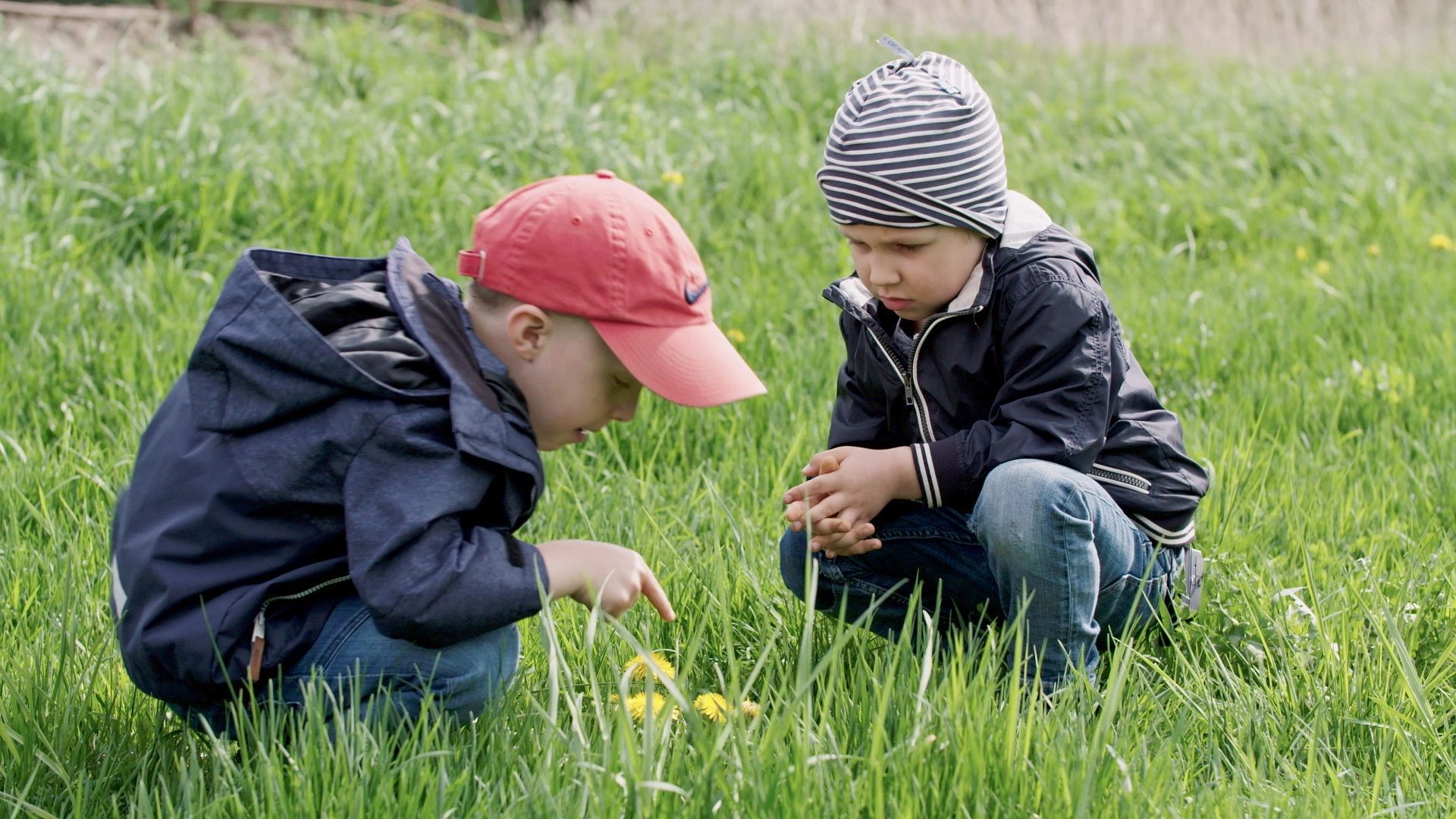 Zwei Jungen hocken im hohen Gras und betrachten aufmerksam Löwenzahnblüten