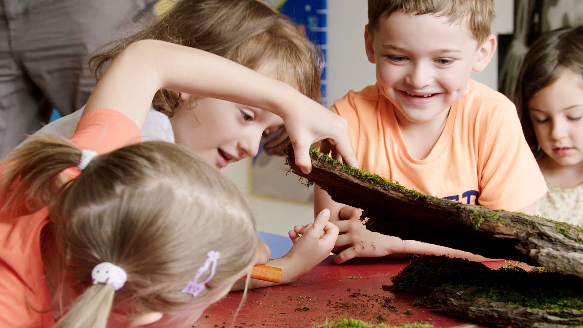 Kinder betrachten lachend ein Stück Rinde mit Moos auf dem Tisch