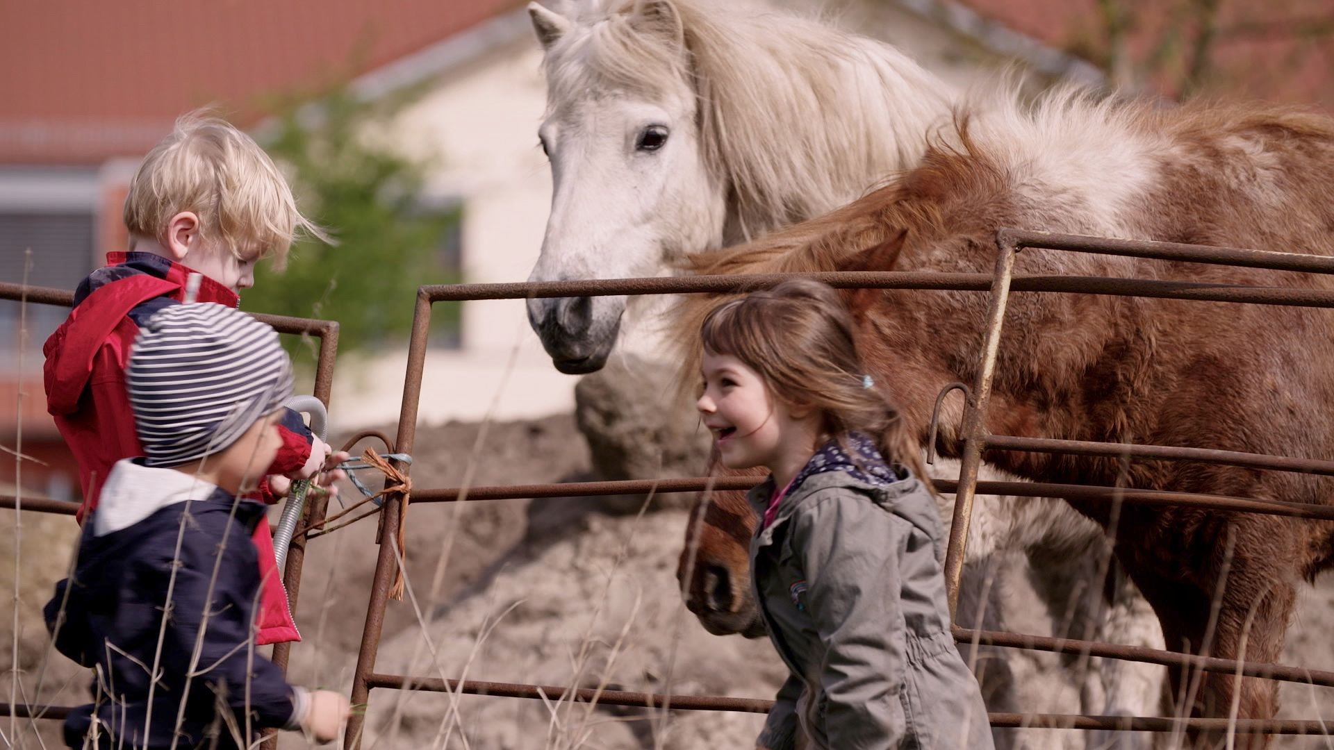Zwei Kinder streicheln zwei Ponys an einem Gatter auf dem Hof
