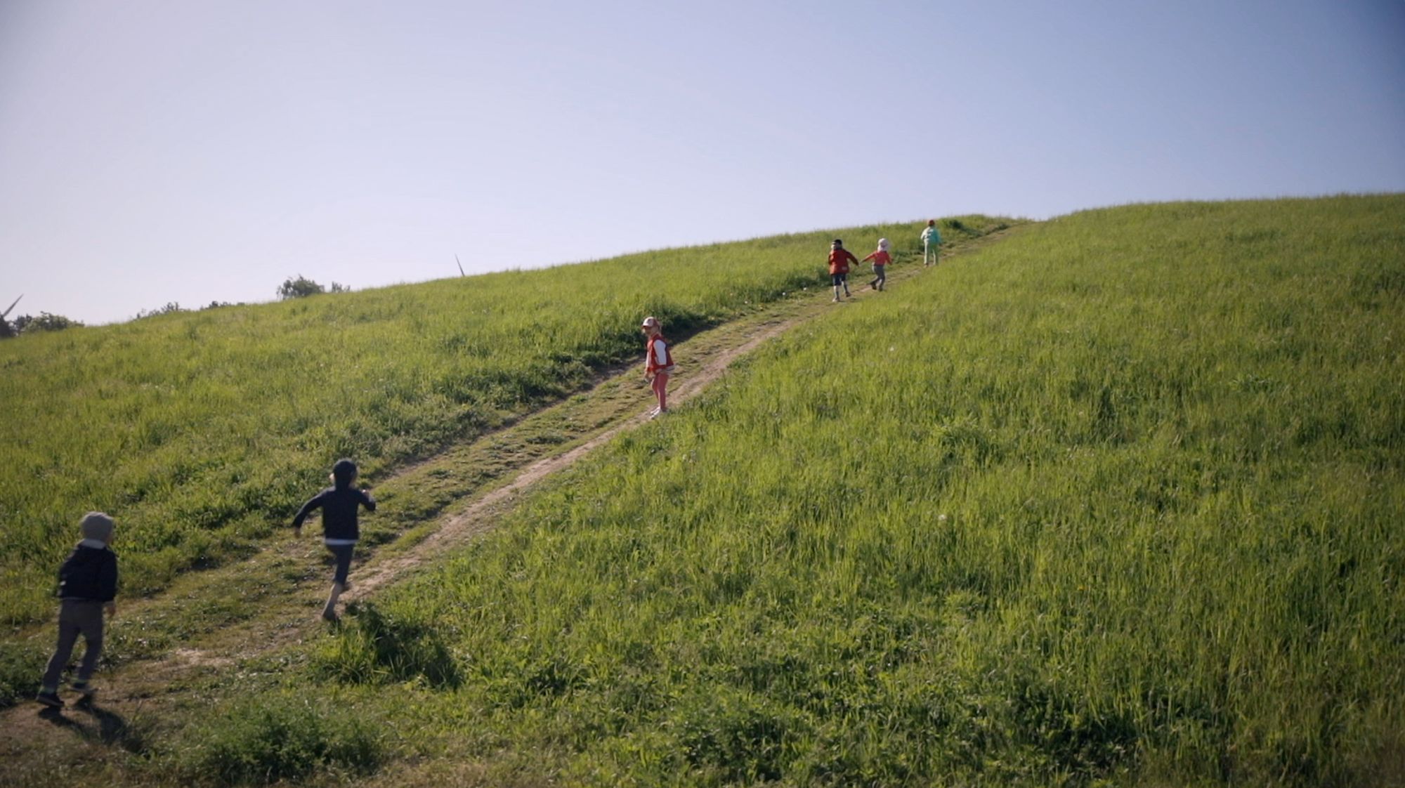 Kinder rennen einen grünen Hügel hinauf im Sonnenschein