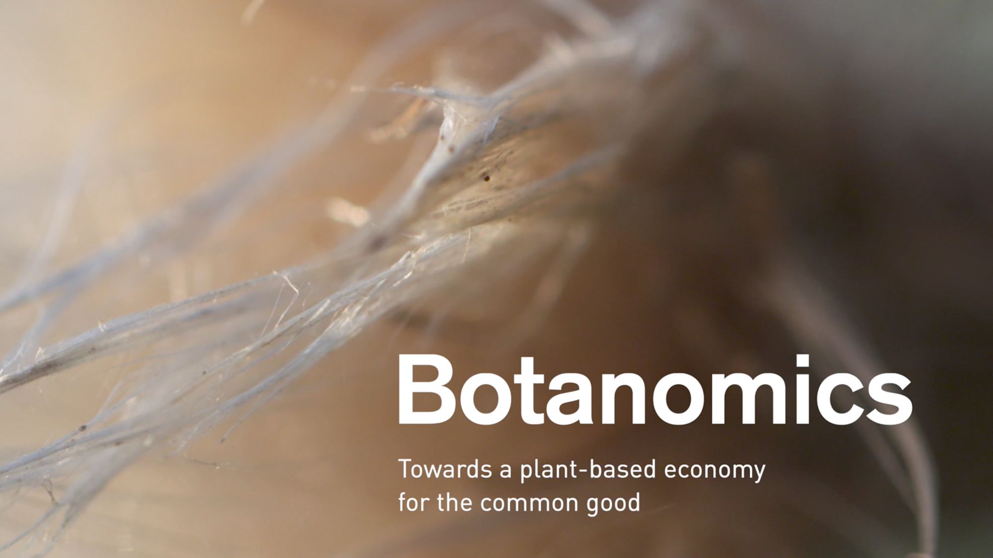 Titelkarte „Botanomics“ auf Pflanzenfasern mit englischem Untertitel zur pflanzenbasierten Wirtschaft