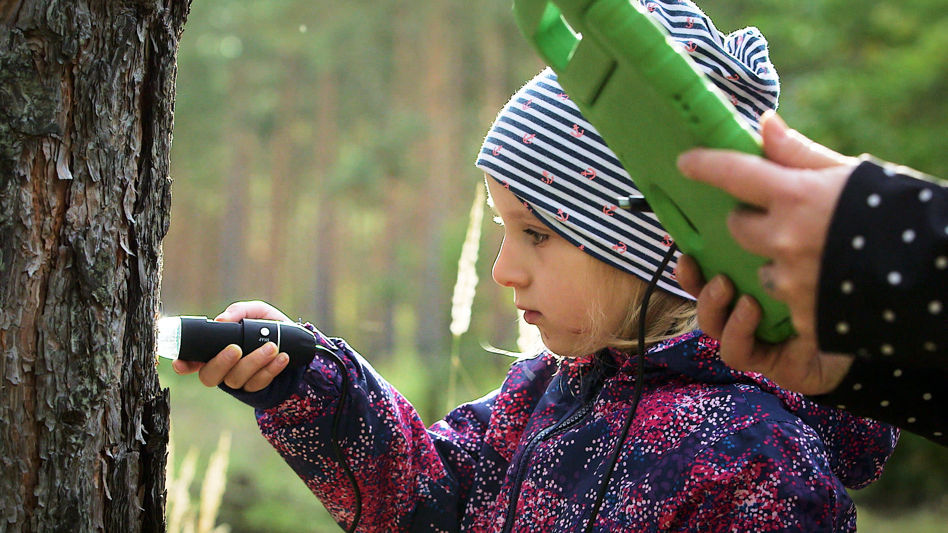 Mädchen mit Taschenlampe untersucht Baumrinde im Wald, daneben eine Hand mit grünem Gerät