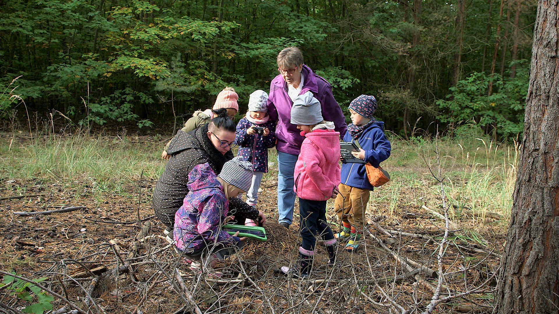 Gruppe aus Erwachsenen und Kindern betrachtet gemeinsam einen Ameisenhaufen im Wald