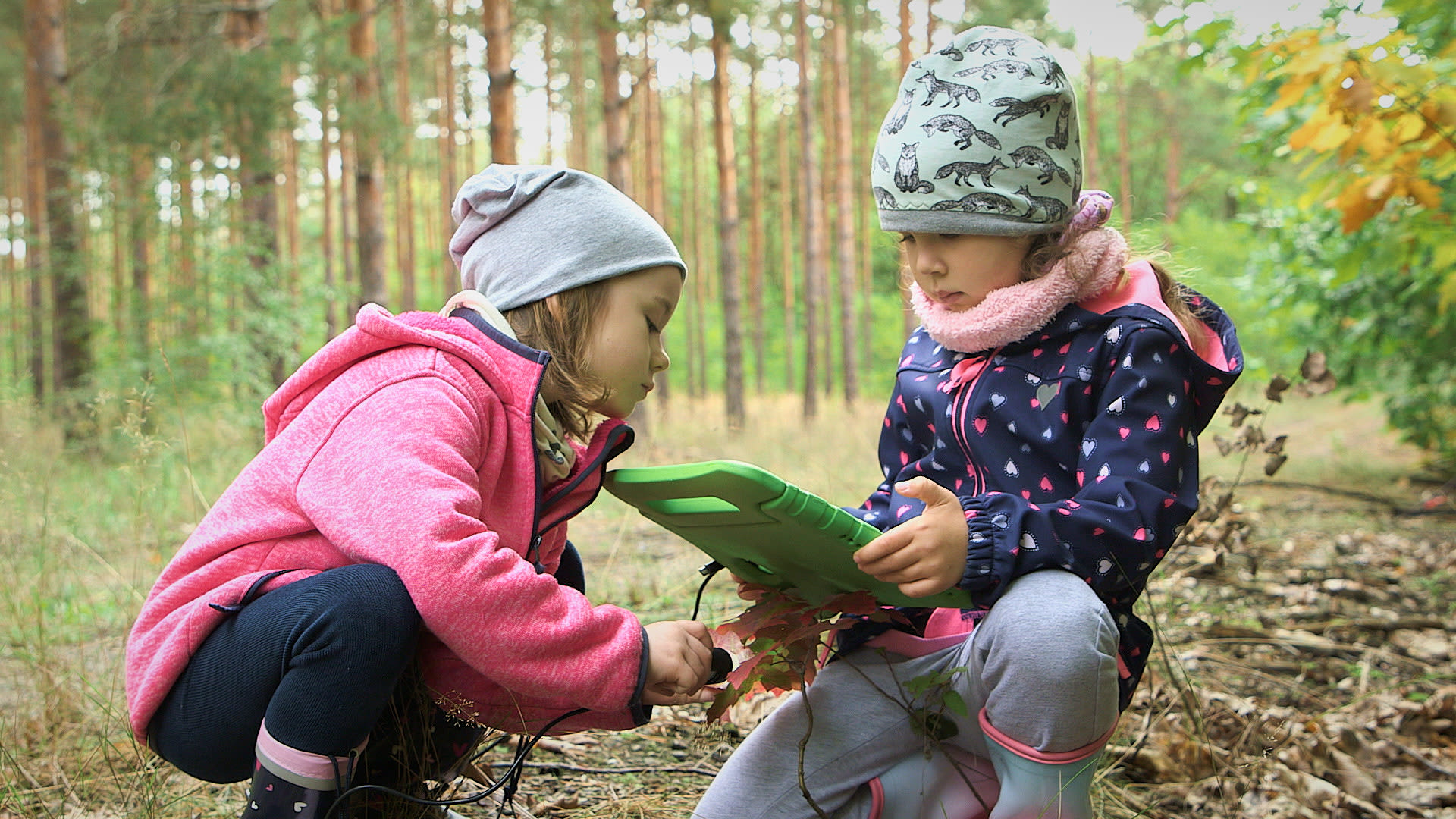 Zwei Mädchen im Wald betrachten gemeinsam ein Herbstblatt auf einem grünen Tablet