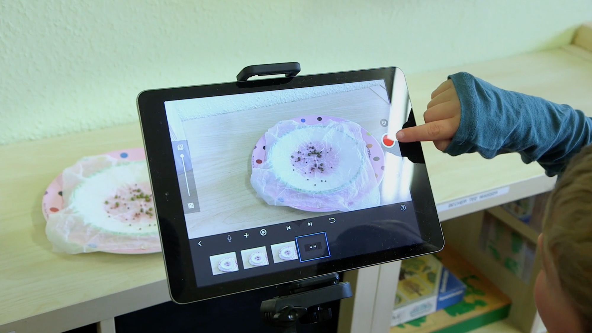 Kind fotografiert mit einem Tablet Kressekeimlinge für eine Zeitraffer-Aufnahme