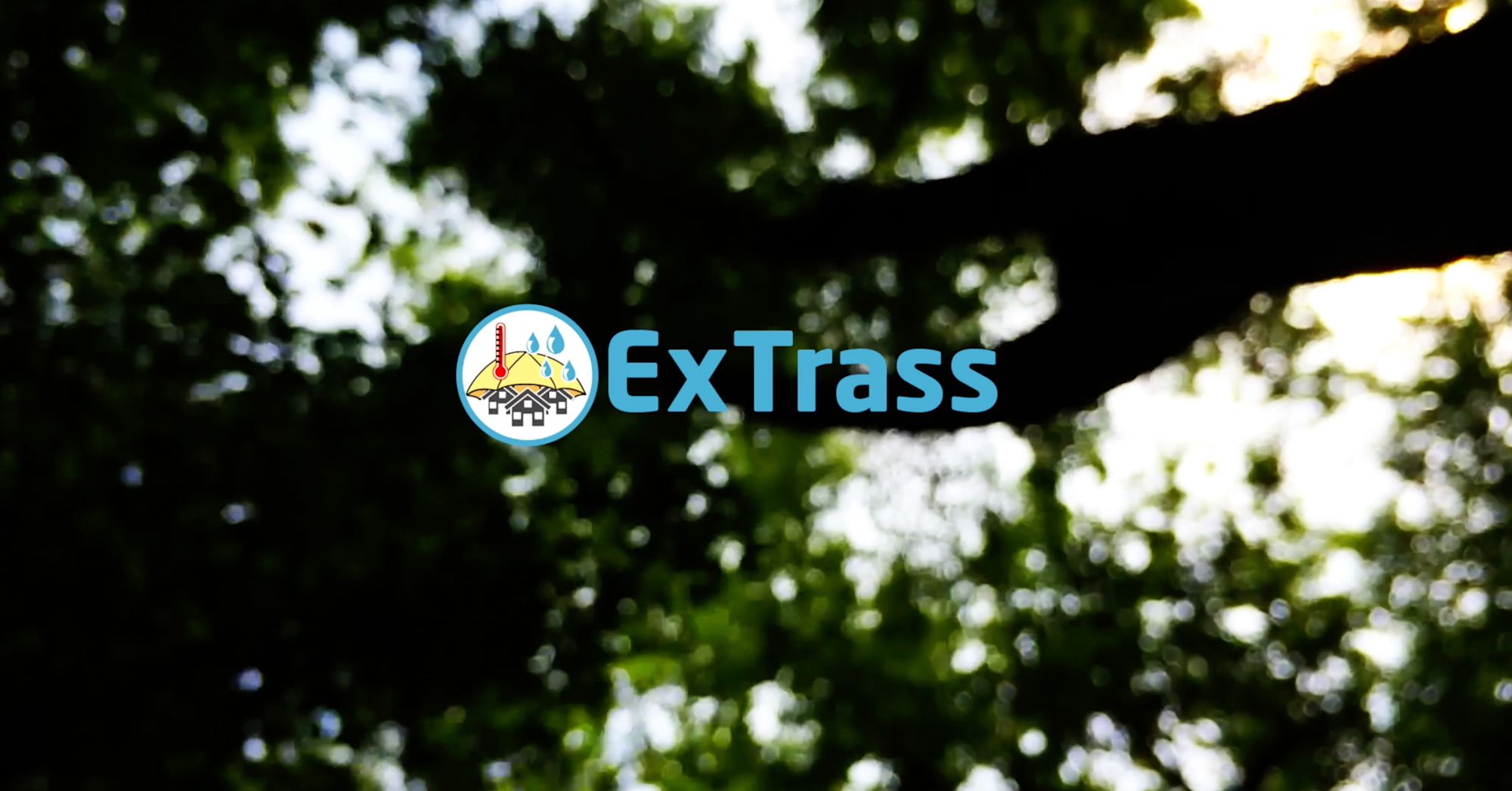 Titelkarte mit dem Logo und Schriftzug „ExTrass“ vor einer Baumkrone