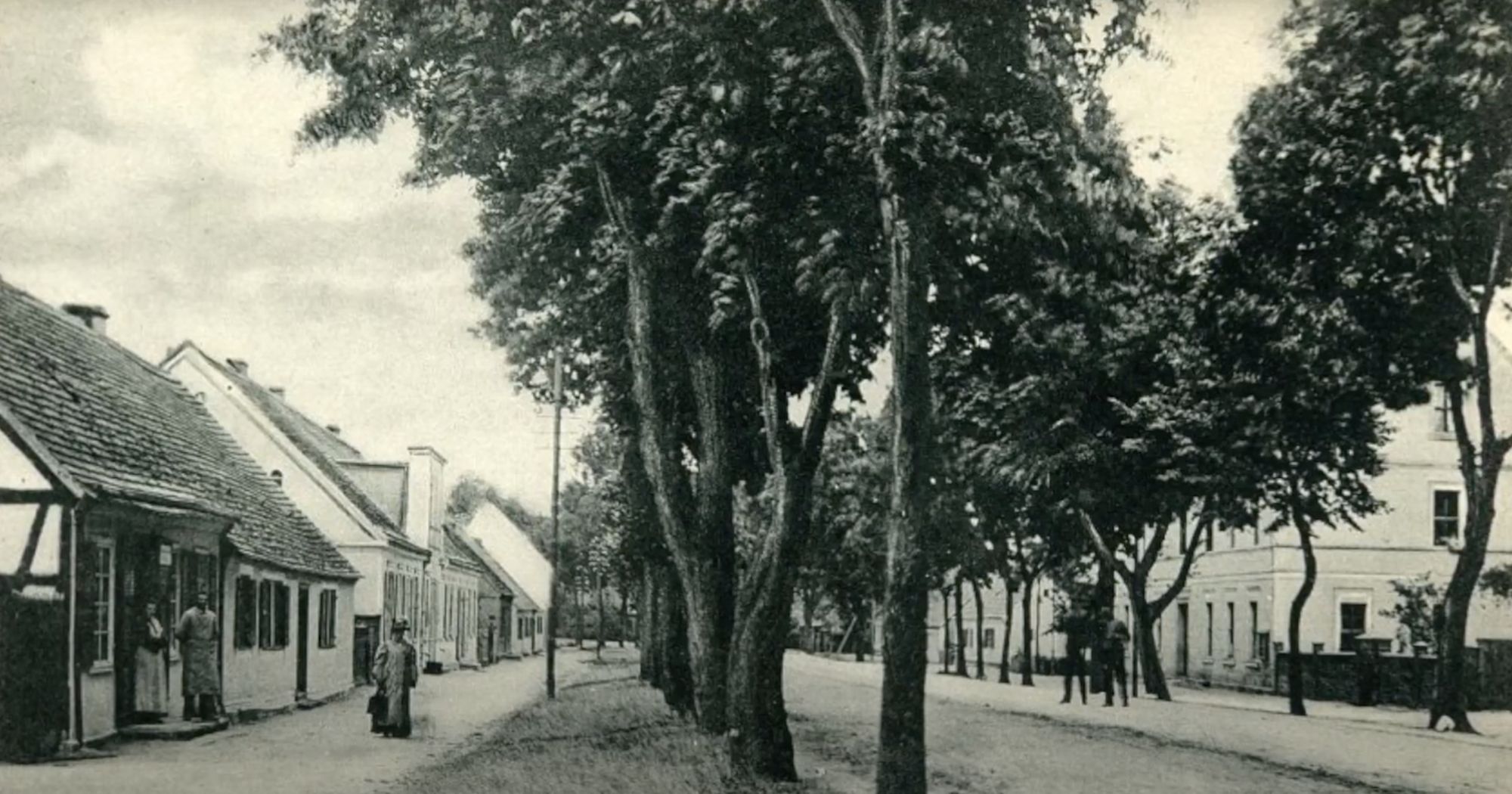 Historische Schwarz-Weiß-Aufnahme einer von Bäumen gesäumten Dorfstraße